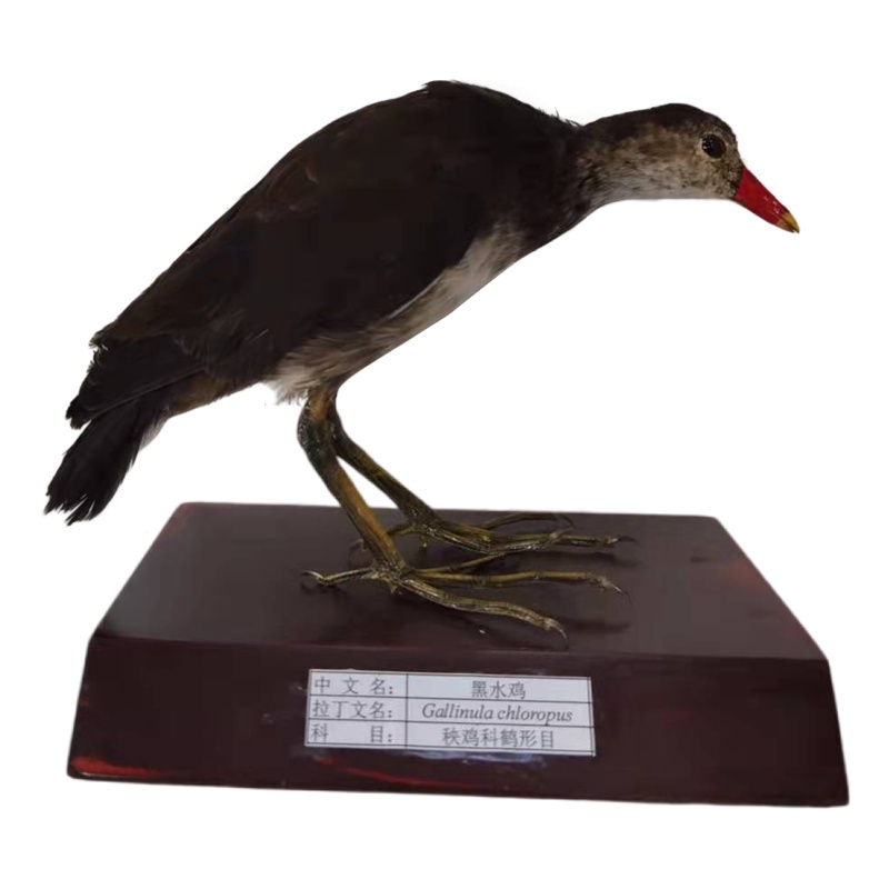 ��ˮ�u��(bi��o)��